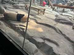 -武汉动物园