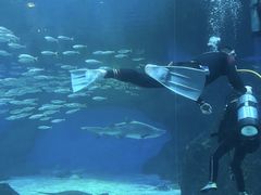 -海合安成都极地海洋公园