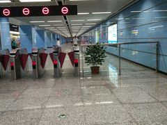 -大龙山(地铁站)