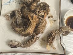 -宾朋海鲜特色美食餐厅·纯手工鲅鱼水饺(兴海路店)