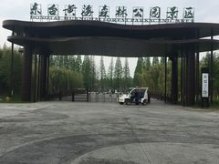 -黄海国家森林公园