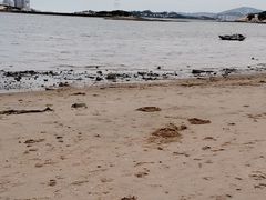 -海沧湾公园