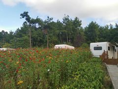 -云漫湖生态度假公园