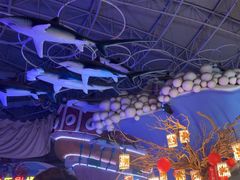 -烟台海昌鲸鲨海洋公园