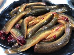 -铜元老码头鳝鱼火锅