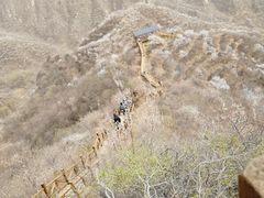 -大岭沟猕猴桃谷风景区
