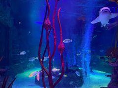 -沈阳海洋探索中心