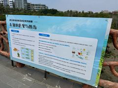 -霞山观海长廊