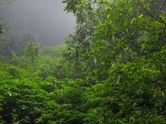 -蝶舞清江·恩施云顶景区(黄鹤峰林)