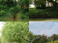 -西溪国家湿地公园