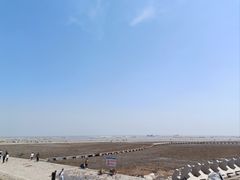 -南汇嘴观海公园