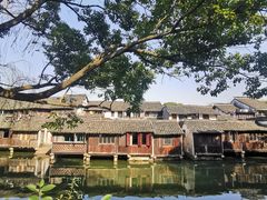 -乌镇景区