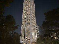 -新加坡瑞士史丹福酒店