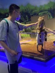 -未来动物城动物主题公园(大悦城店)