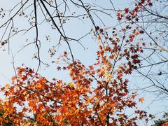 -杭州半山国家森林公园