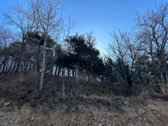 -妙峰山风景名胜区