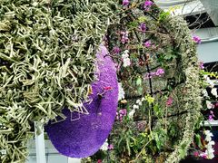 -深圳国际园林花卉博览园