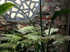 -茶理宜世(东方宝泰店)