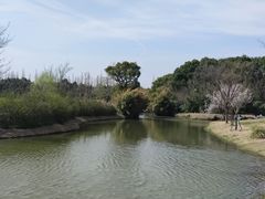 -嘉北郊野公园