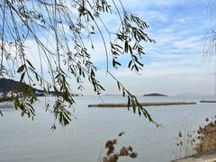 -苏州太湖西山岛开心农场