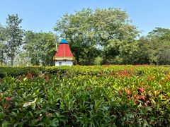 -东莞植物园