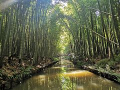 -同里国家湿地公园