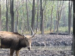 -溱湖国家湿地公园