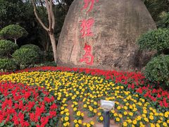 -野狸岛