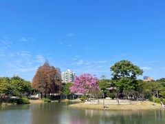 -四海公园(南山区)