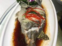 -小贝壳酒楼(经九路店)