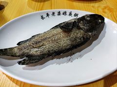 -长平老姿娘夜粥(平东一街店)