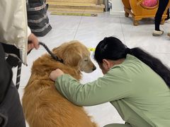 -达爱动物医院·犬猫分区·CT·复杂眼科(远洋山水分院)
