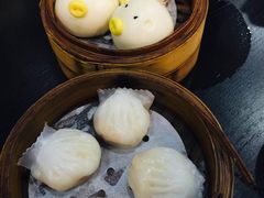 -添运来(茶园奥园广场店)