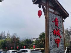-青城甲(青城山店)