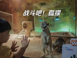 -酷嗒动物文化乐园(cutezoo西溪乐天城店)