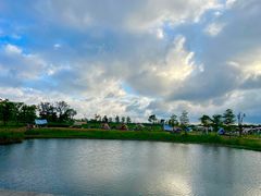 -春花秋色城市公园