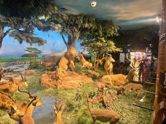 -国家自然博物馆