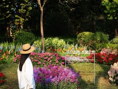 -云溪植物园