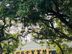 -长洲岛