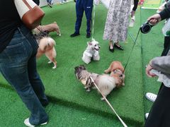 -东莞松山湖万象汇