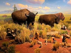 -陕西自然博物馆