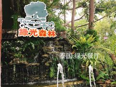 -绿光森林餐厅