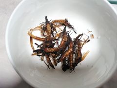 -灵山