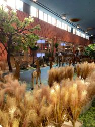 -卡通尼·Safari非洲探索乐园·生日会(金桥国际商业广场店)