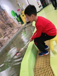 -七巧国萌宠乐园(龙湖天街店)