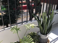 三楼小阳台-素咫咖啡CLIFEROSE