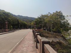 -风云岭森林公园