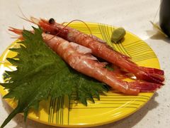 -京樽回転寿司(奥林匹克店)