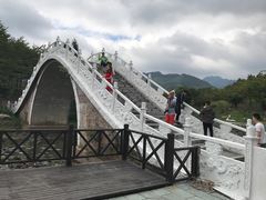 -田野绿世界