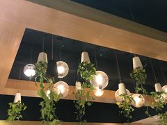 -柴务处·柴犬主题狗咖